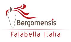 Falabella Italia